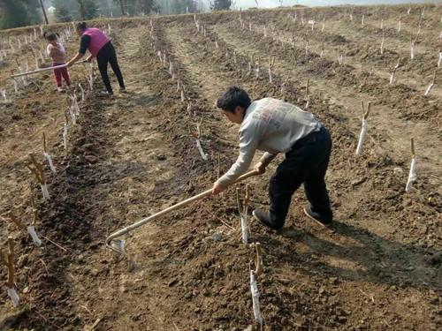 151485844458912354.jpg u=3085727839,3278656530&fm=27&gp=0.jpg