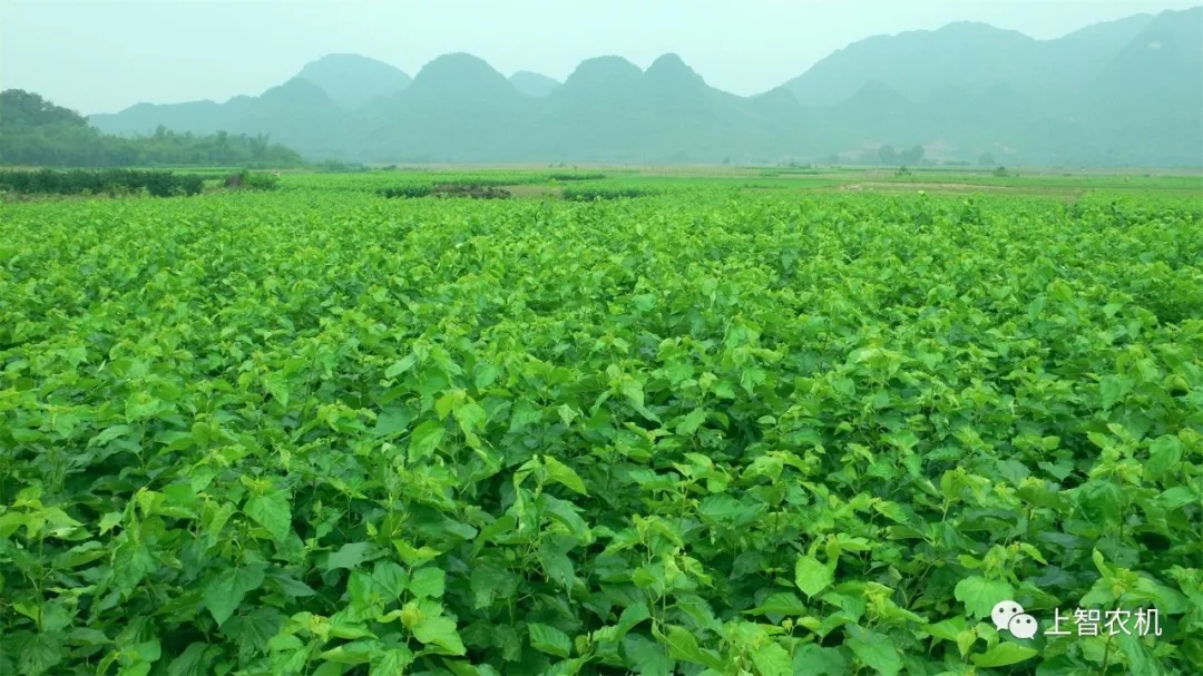 151693797229818231.jpg 640.webp.jpg