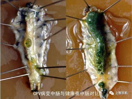 154233321949773148.jpg 微信图片_20181116095111.jpg