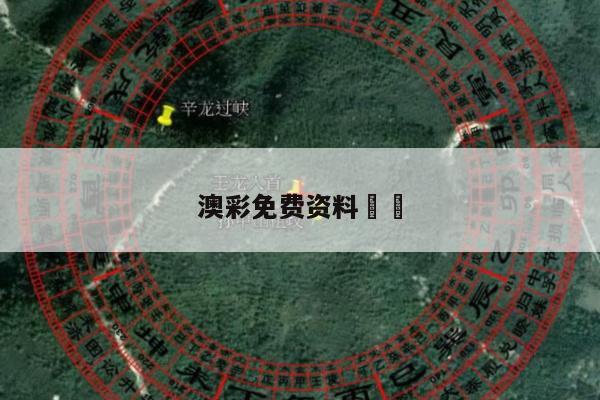 澳彩免费资料		