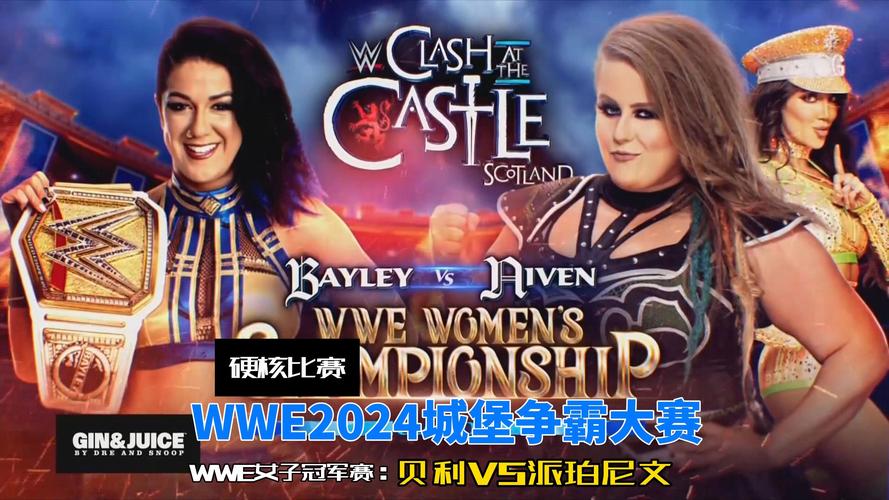 澳彩资料免费的资料大全wwe全面解答:演员为二胎放弃女一