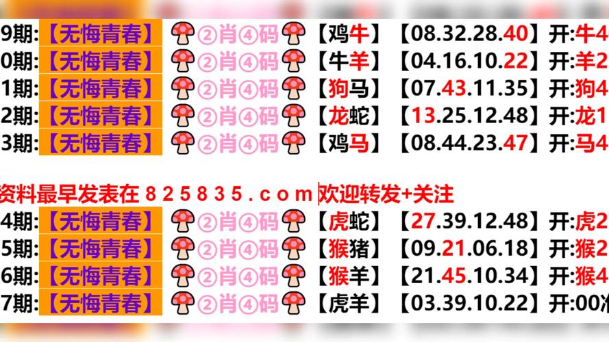 2025澳门天天开好彩大全2023:滑翔男子被吸至高空
