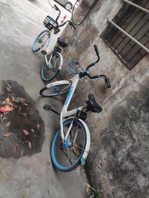 85118cσm查询澳彩内部资料:坐共享单车车篮摔死