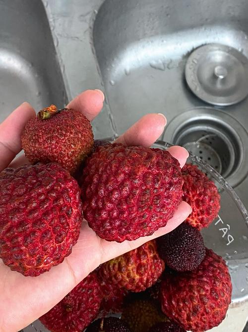 新澳今日开奖结果:荔枝冷藏再吃不上火
