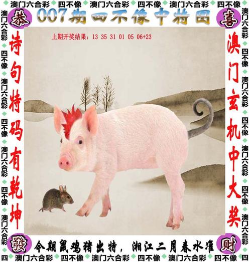 2025澳门天天开好彩大全2023:街头下水道爬出女子