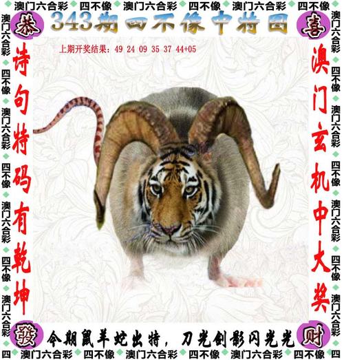 2025澳门天天开好彩大全2023:女子为4只狗立遗嘱